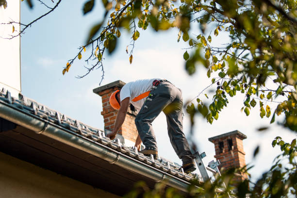 Professional Roofing Contractor in Colesville, MD