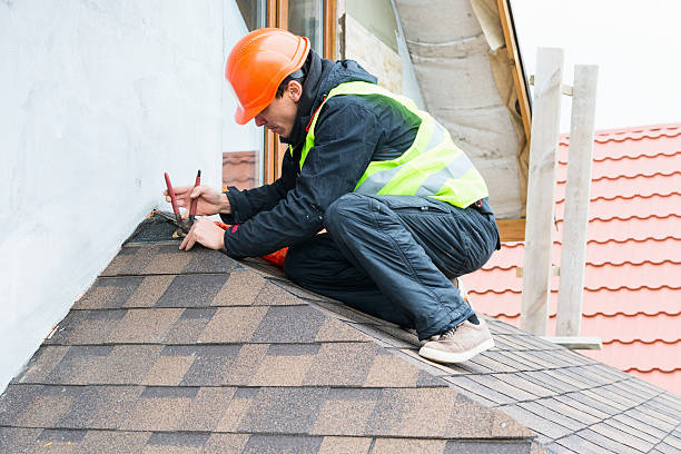 Best Roof Gutter Cleaning  in Colesville, MD