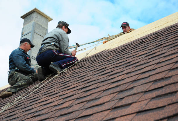 Quick and Trustworthy Emergency Roof Repair Services in Colesville, MD